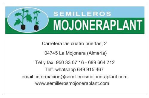 informacion sobre Semilleros Mojoneraplant