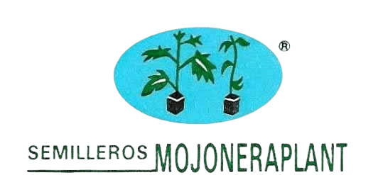 Imagen de cabecera